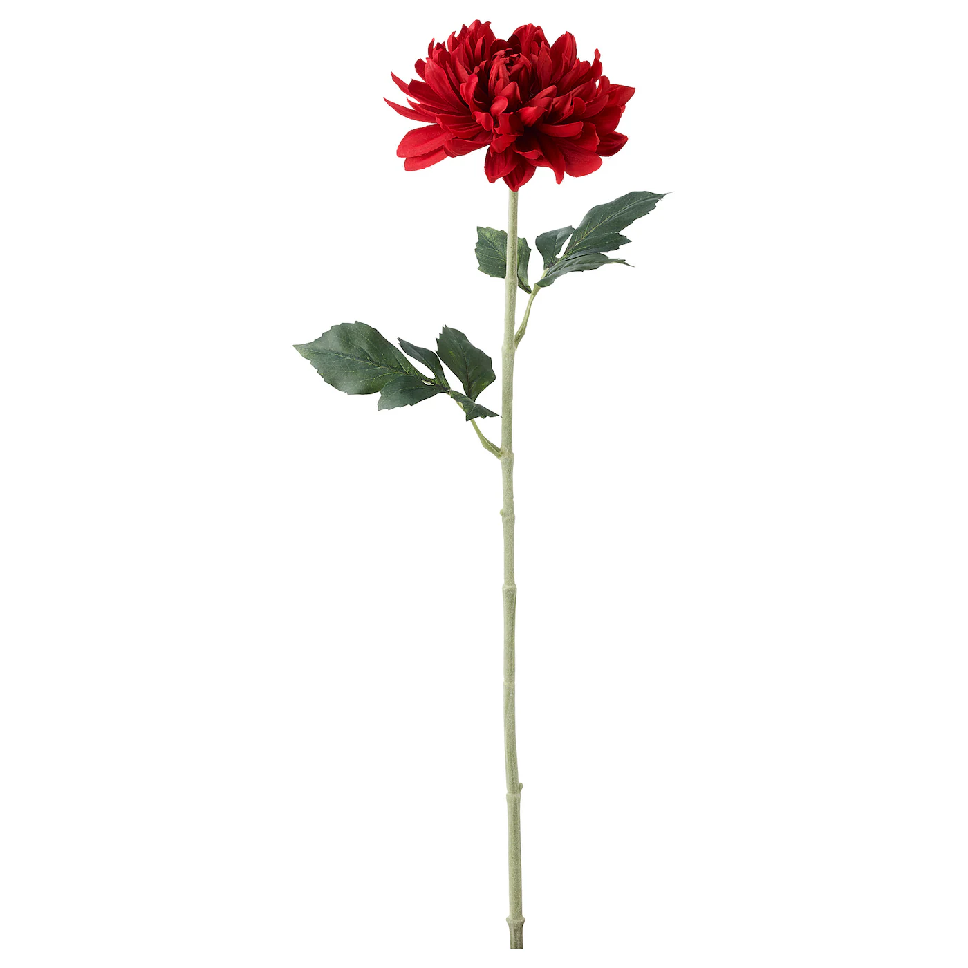 SMYCKA Veštački cvet, dalija/crvena, 75 cm