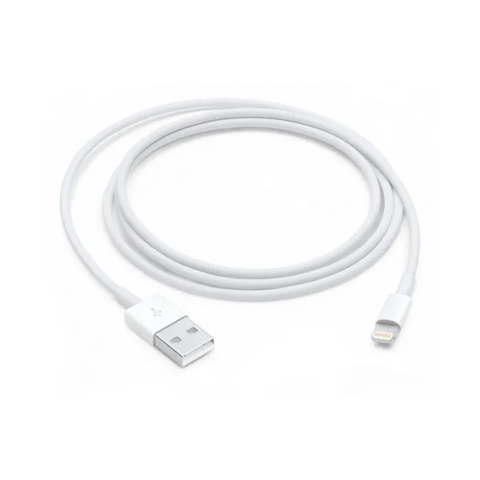 Apple Lightning to USB Cable
