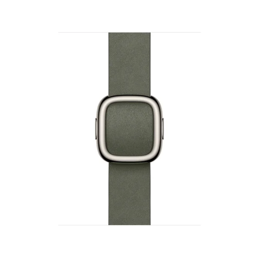 Apple Watch Modern Buckle