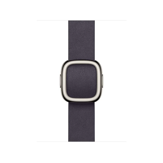 Apple Watch Modern Buckle