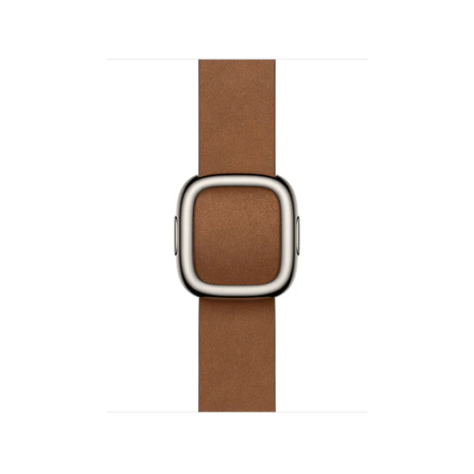 Apple Watch Modern Buckle