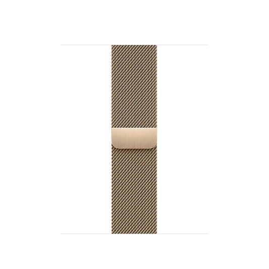 Apple Watch Milanese Loop