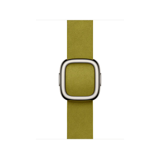 Apple Watch Modern Buckle