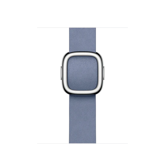 Apple Watch Modern Buckle
