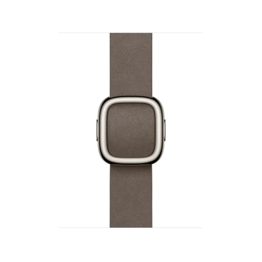 Apple Watch Modern Buckle
