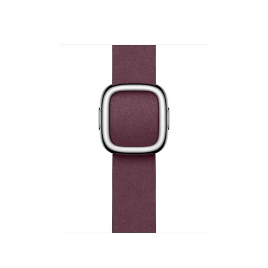Apple Watch Modern Buckle