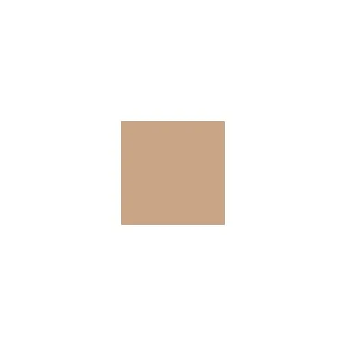 Clarins  Everlasting Youth Foundation - Everlasting Youth Foundation 110