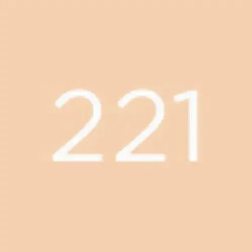 DIEGO DALLA PALMA Geisha Lift Foundation 221