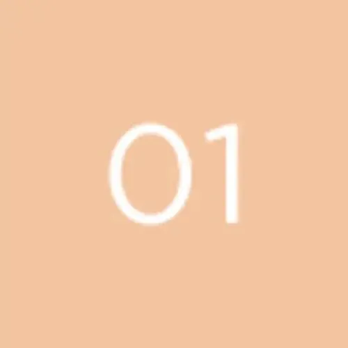 DIEGO DALLA PALMA Transparent Powder 01