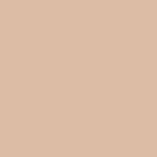 NAJ OLEARI Lasting Veil Foundation 102