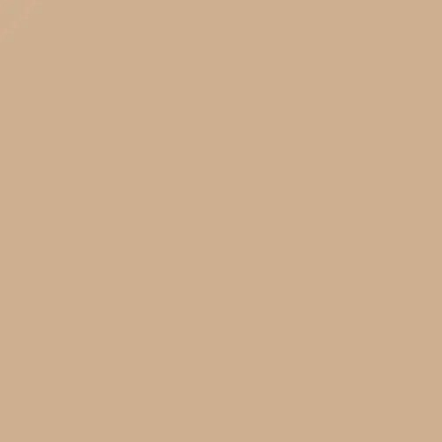 NAJ OLEARI Lasting Veil Foundation 103