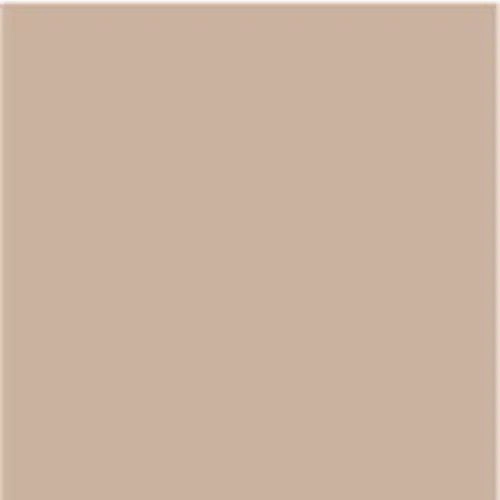 PUPA No Transfer Foundation 01