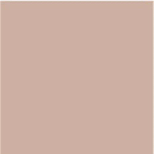 PUPA No Transfer Foundation 02