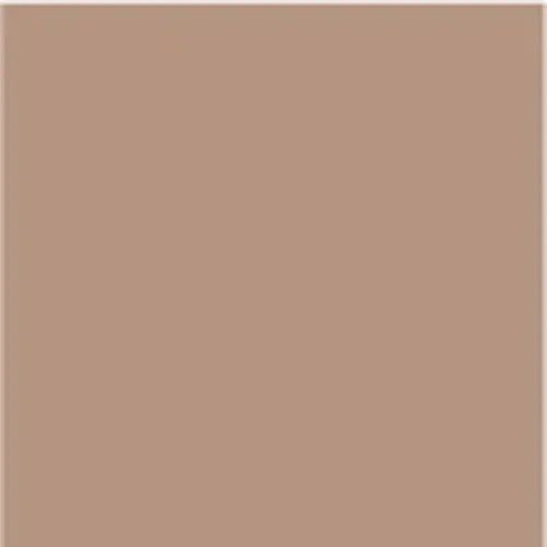 PUPA No Transfer Foundation 04