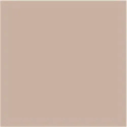 PUPA No Transfer Foundation 200
