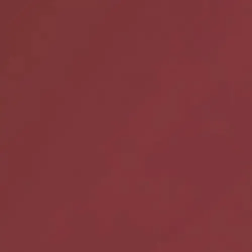 SENSAI Moisture Intense Lipstick MI03 Burgundy Red