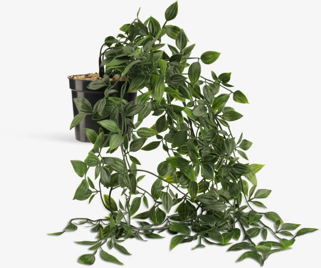 Veštačka biljka OLIVER D62cm viseća