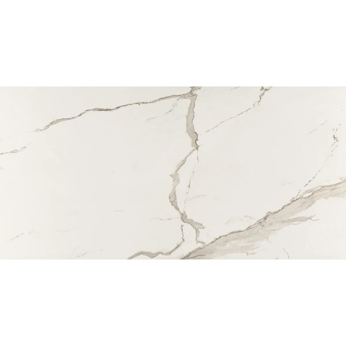 Albatros 600x1200 Rett. 1,44 Bela 60x120