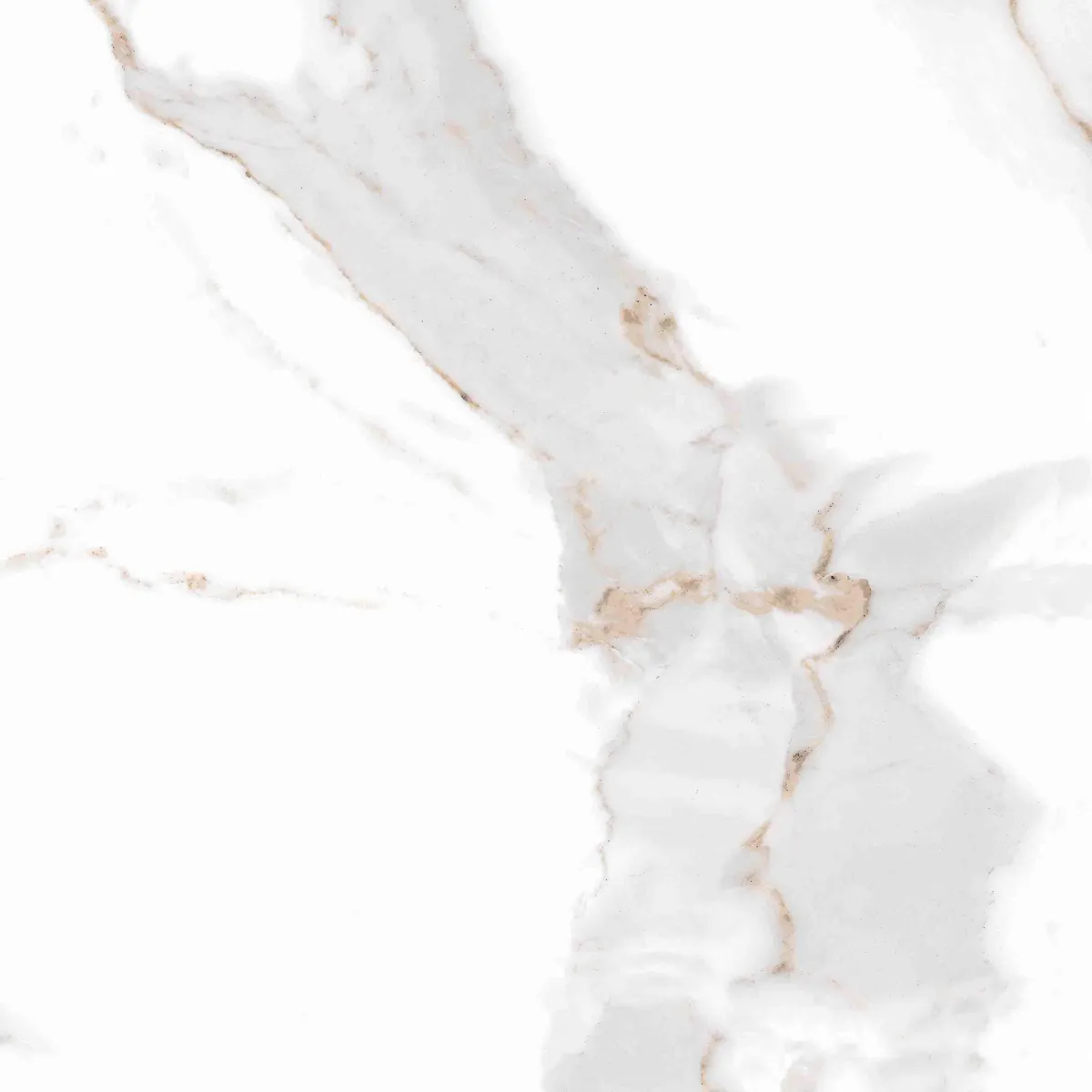 ANTIQUE CARRARA GLOSSY 610x610 Bela