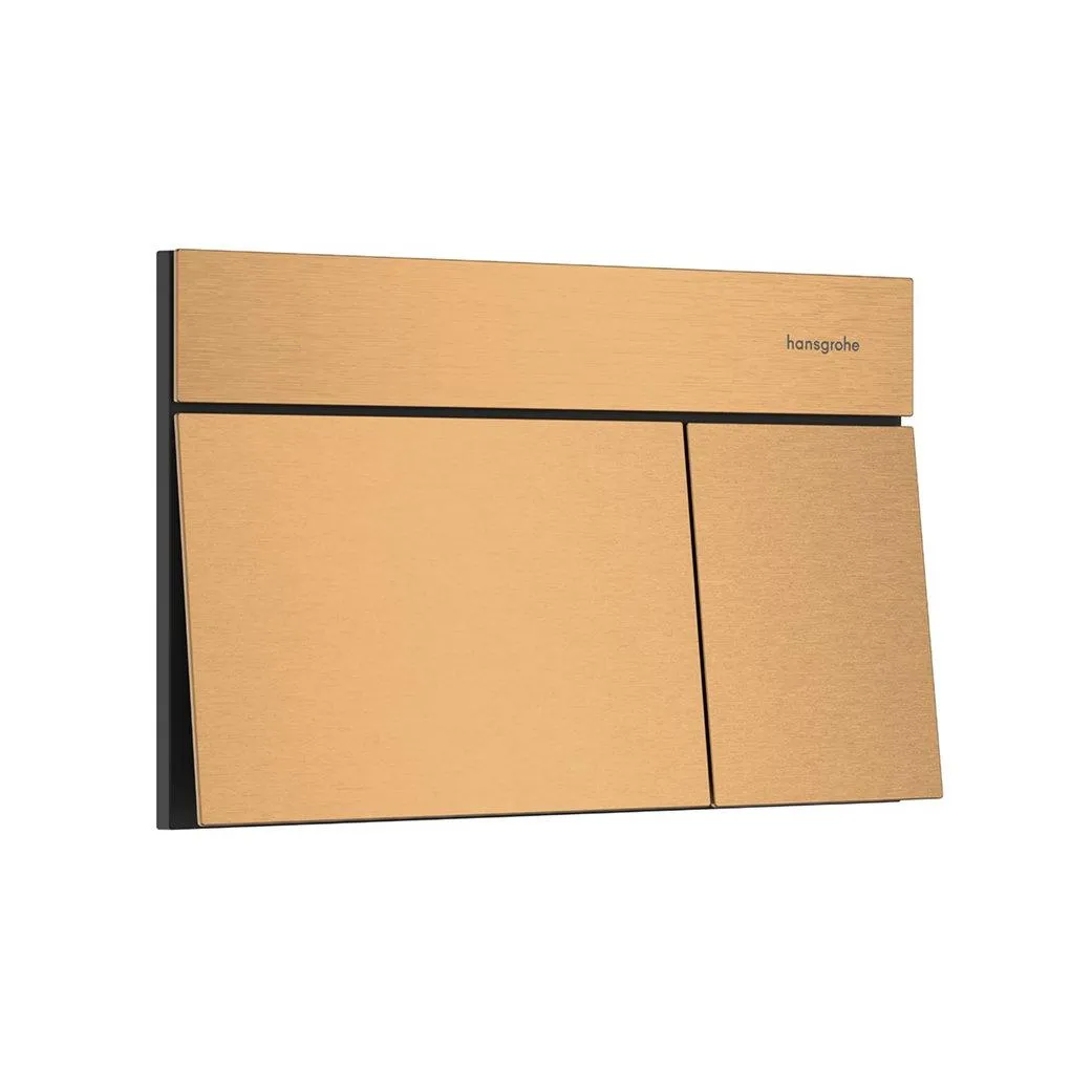 Hansgrohe iFrame tipka Element E 66003140 Hrom