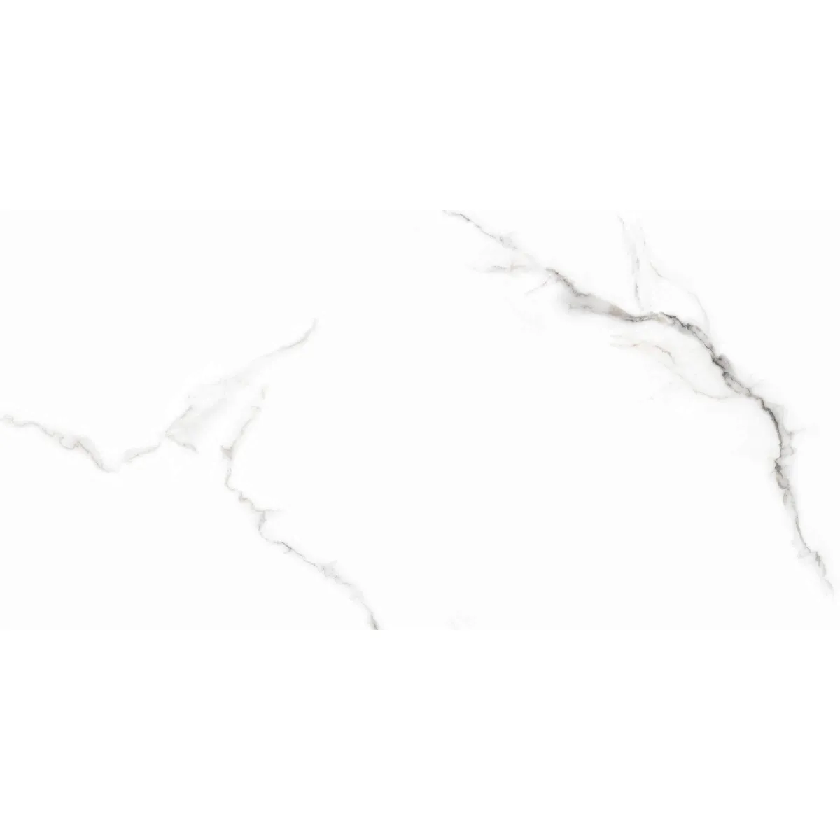 LEODIKYA Grey 60x120 7,5mm Lappato 2,16 Bela