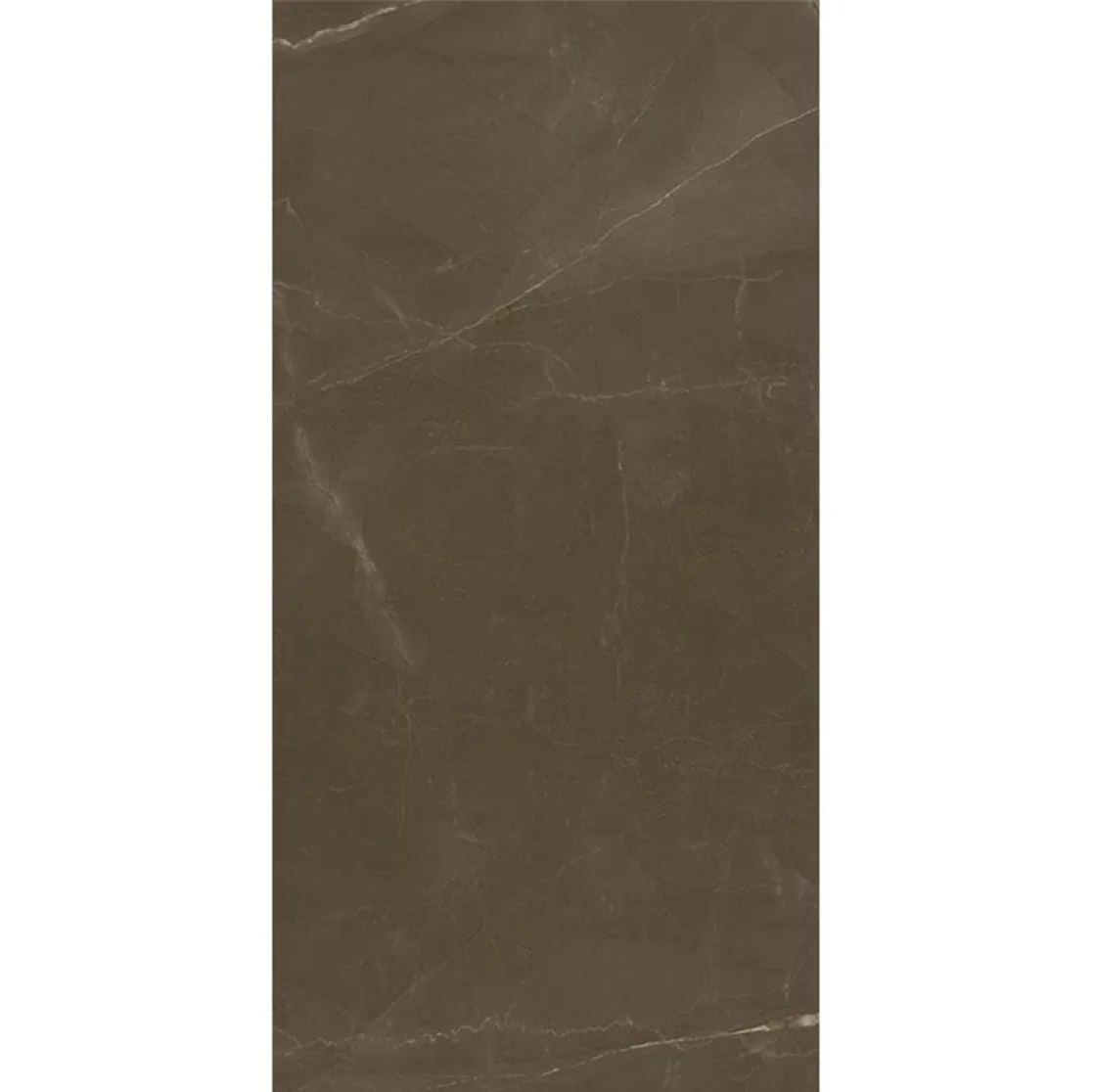Marazzi Allmarble 75X150 Allmarble Pulpis M4EX Braon