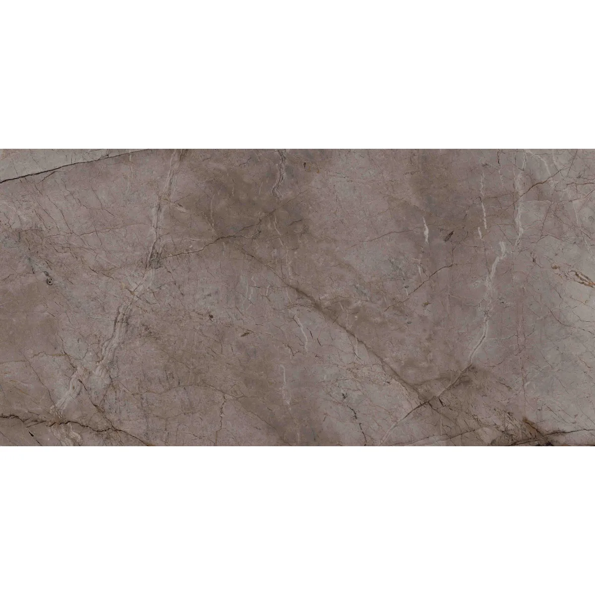 Root Ash 600x1200 rett. Lapp. Akl. Siva 60x120