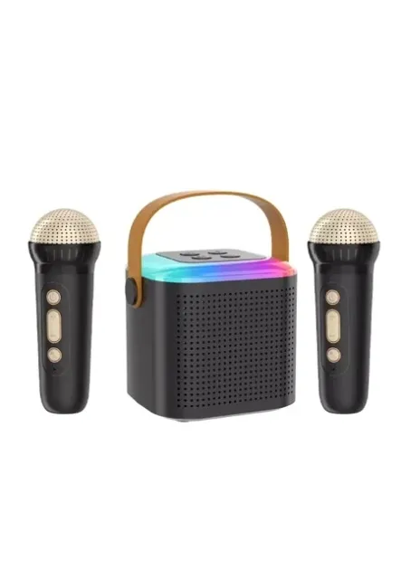 Bavin mini karaoke zvučnik sa 2 mikrofona crna ( 90506 )