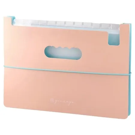 Biro Time gonzaga fascikla sa pregradama 13 pregrada a4 - odaberite boju roze ( 480911 )