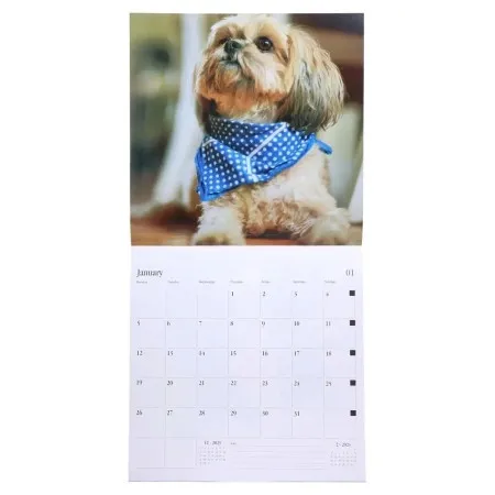 Biro Time yearly 30 zidni kalendar 30x30cm 14 lista pas ( 490043 )