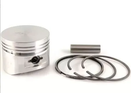 Briggs klip bez kar la300 fi76 ( 12472 )