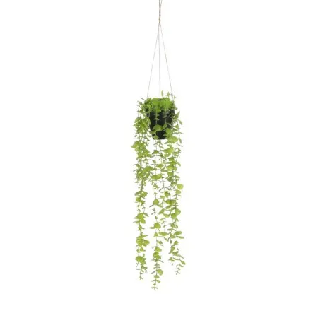 Dekordom 1083464 Cvet u saksiji eucalyptus 54cm - green - edl ( 040439 )