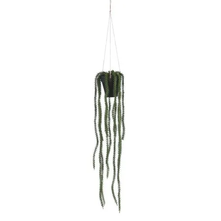 Dekordom 1083466 Cvet u saksiji rhipsalis 62cm - green - edl ( 040440 )