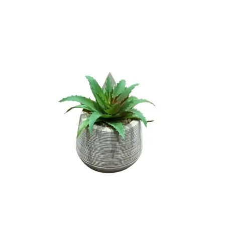 Dekordom cvet u saksiji - succulent round 456 - n44 ( 024275 )