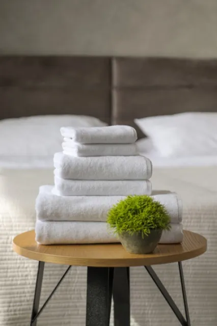 Dekordom peškir hotel plain 450gr 20/2 - 30x50 ( 039558 )