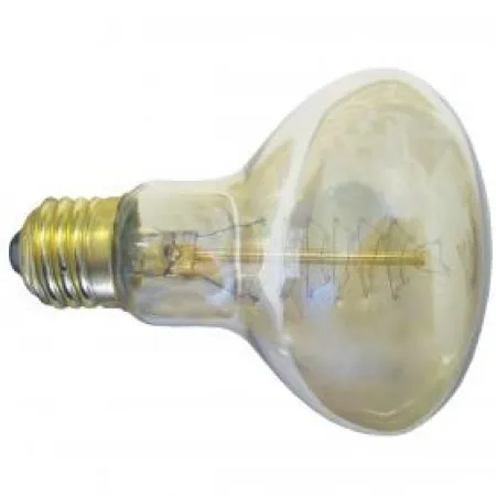 Elit+ R80 60w e27 bistra sijalica sa dekorativnim vlaknom ( ELG178 )
