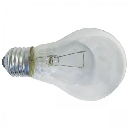 Elit+ vagonska sijalica a60 24v 60w e27 ( ELF8325 )