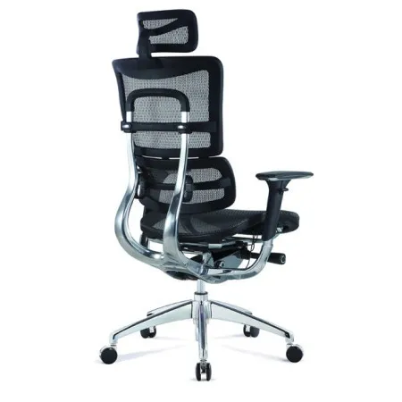 Ergonomska radna stolica HAVAS/M - Crna ( 5800 )
