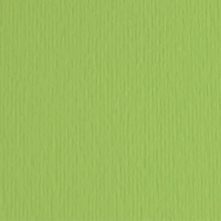 Fabriano elleerre hamer papir b1 220g - odaberite nijansu verde pisello ( 193009 )