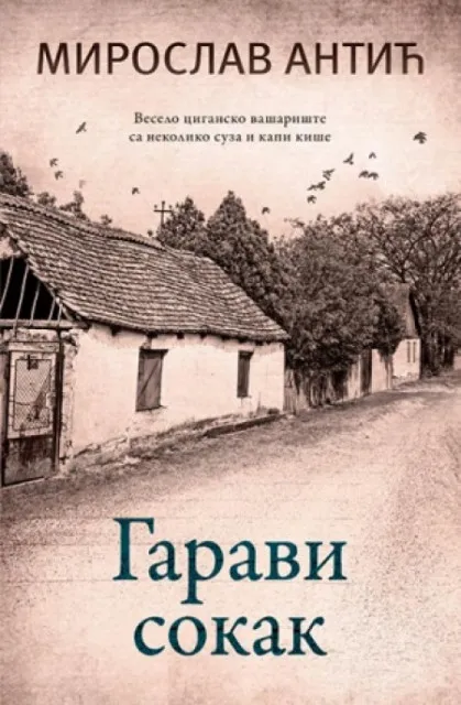 Garavi sokak - Miroslav Antić ( 10316 )