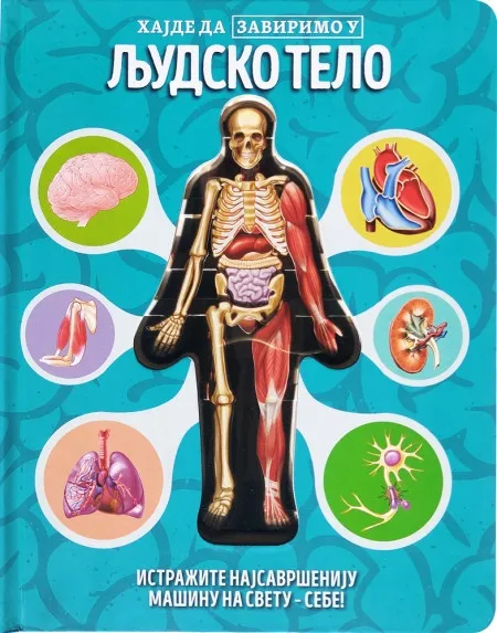 Hajde da zavirimo u: Ljudsko telo ( 29770 )