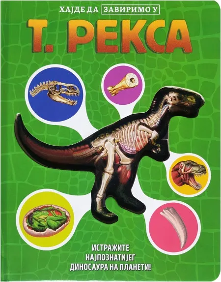 Hajde da zavirimo u: T. Reksa ( 29771 )