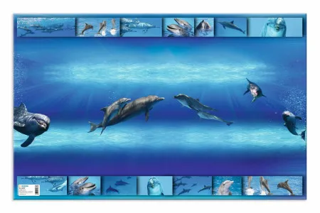 Herma podloga za sto 550x350 mm, Delfin ( 05DM19087 )