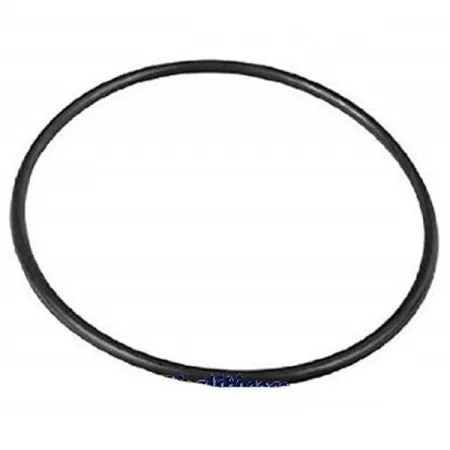Intex gumica za rezervoar sf pumpe 10(rd) ( 11728 )