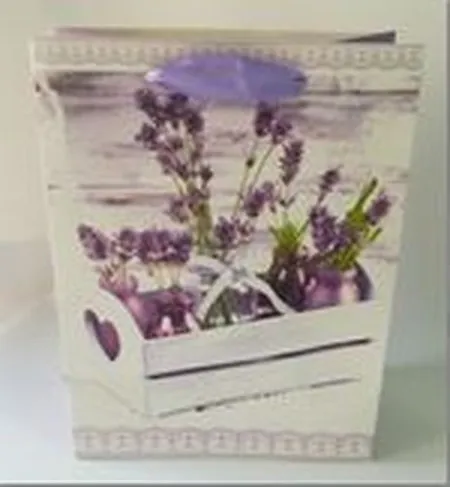 Kesa 18*23*10cm 1706-m ( 145655 )