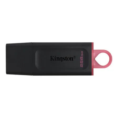 Kingston usb flash DTX/256GB ( KIN080 )