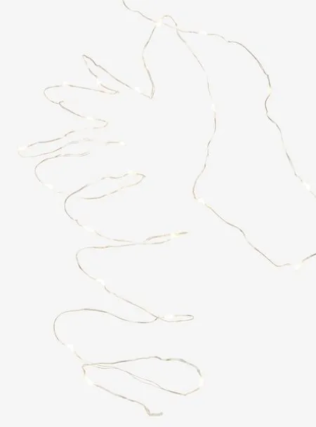 LED string lights w/40LED SDP