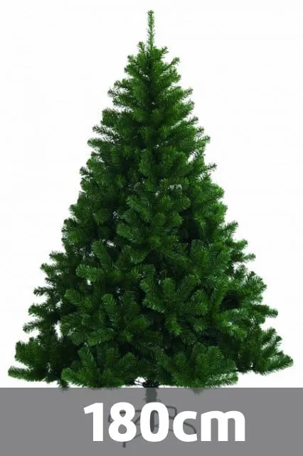 Novogodišnja jelka - Nordmann king 180 cm HX190 ( KFA 198 )