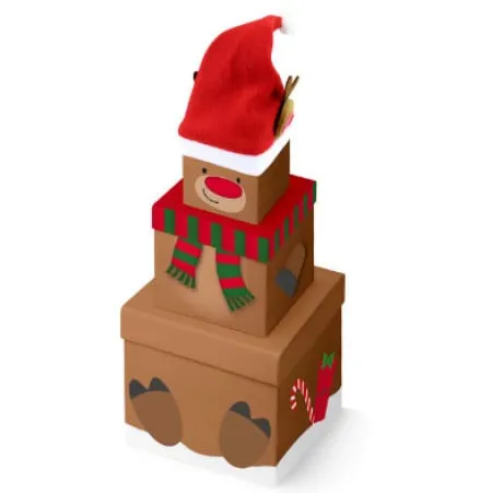 Novogodišnja kutija sa kapicom set 1/3 ( X31076BX_5 )