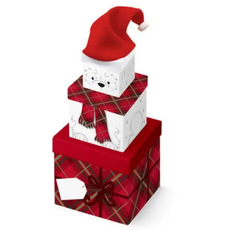 Novogodišnja kutija sa kapicom set 1/3 ( X31076BX_8 )